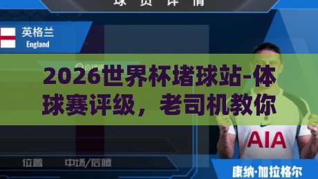 2026世界杯堵球站-体球赛评级，老司机教你避坑选站