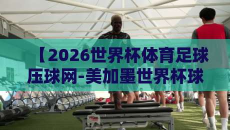 【2026世界杯体育足球压球网-美加墨世界杯球盘买球赛平台】：新手避坑指南与实战技巧