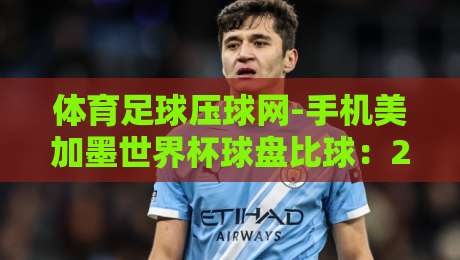 体育足球压球网-手机美加墨世界杯球盘比球:2026年看球新玩法,你摸透了没? 体育足球压球网-手机美加墨世界杯球盘比球:2026年看球新玩法,你摸透了没?