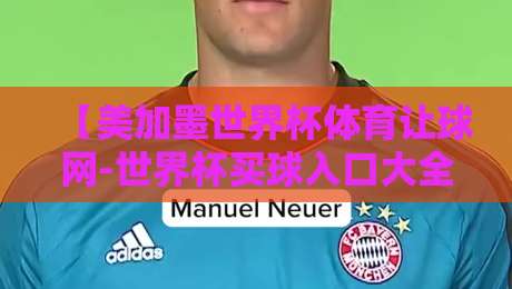 【美加墨世界杯体育让球网-世界杯买球入口大全】！2026年球迷必知的实战指南