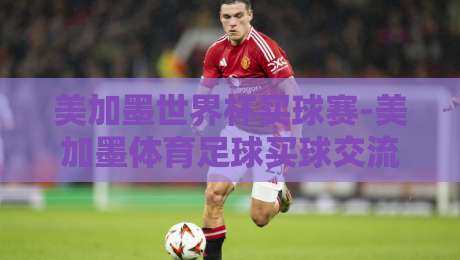美加墨世界杯买球赛-美加墨体育足球买球交流：2026年，你的购球小白指南与老鸟心得