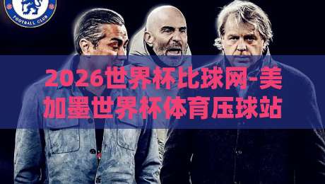 2026世界杯比球网-美加墨世界杯体育压球站指南：一份给老球迷的实用手册
