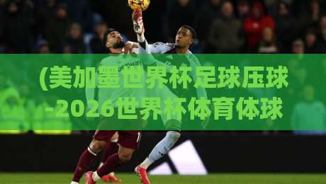(美加墨世界杯足球压球-2026世界杯体育体球站公司): 从球迷到玩家，如何找到靠谱的体球站？ 美加墨世界杯足球压球-2026世界杯体育体球站公司