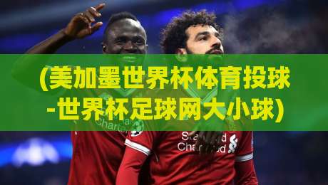 (美加墨世界杯体育投球-世界杯足球网大小球),2026年这些投注策略让你不再迷茫 (美加墨世界杯体育投球-世界杯足球网大小球),2026年这些投注策略让你不再迷茫
