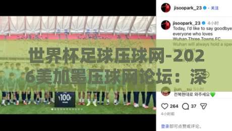 世界杯足球压球网-2026美加墨压球网论坛：深度解析与实战避坑指南