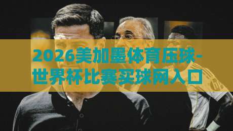 2026美加墨体育压球-世界杯比赛买球网入口：如何安全高效选择投注平台？