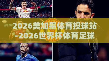 2026美加墨体育投球站-2026世界杯体育足球买球网排行：资深球迷的私藏榜单，你看懂了吗？