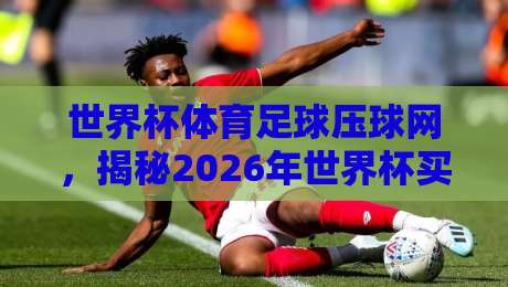 世界杯体育足球压球网，揭秘2026年世界杯买球网走地新玩法