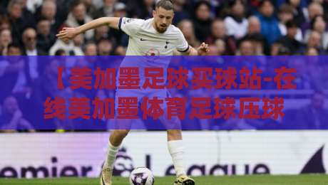 【美加墨足球买球站-在线美加墨体育足球压球】：2026年球迷必知的五大安全压球技巧