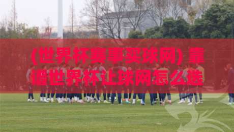 (世界杯赛事买球网) 靠谱世界杯让球网怎么选？老球迷教你避坑+【实用指南】