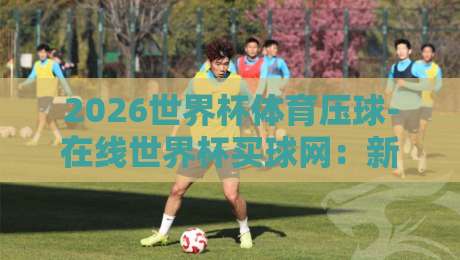 2026世界杯体育压球-在线世界杯买球网：新手必看的安全投注指南与技巧