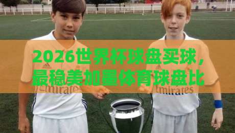 2026世界杯球盘买球，最稳美加墨体育球盘比球？讲真，先看懂这些门道！