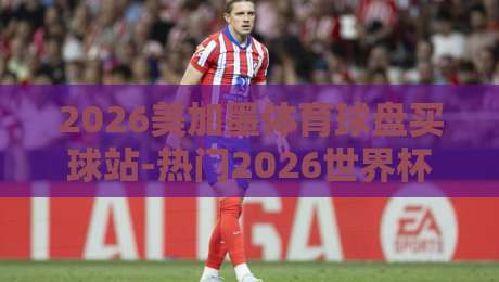 2026美加墨体育球盘买球站-热门2026世界杯足球比球：老球迷的实战避坑指南