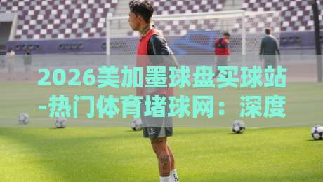 2026美加墨球盘买球站-热门体育堵球网：深度测评与避坑指南（2026美加墨球盘买球站）