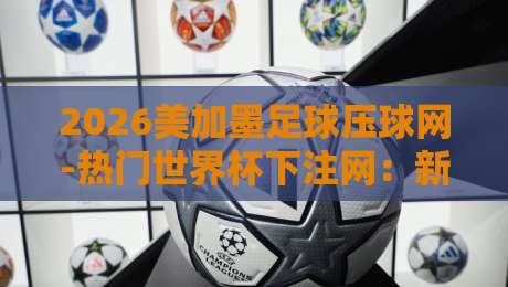 2026美加墨足球压球网-热门世界杯下注网：新手避坑与实战指南