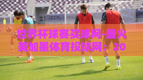 世界杯球赛买球网-最火美加墨体育投球网：2026球迷必备的实战攻略与避坑指南（世界杯球赛买球网）