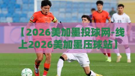 【2026美加墨投球网-线上2026美加墨压球站】！深度解析2026世界杯投注新趋势与避坑指南