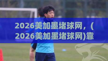 2026美加墨堵球网,(2026美加墨堵球网)靠谱足球进球预测指南 2026美加墨堵球网,(2026美加墨堵球网)靠谱足球进球预测指南
