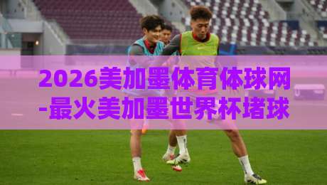 2026美加墨体育体球网-最火美加墨世界杯堵球网:老球迷才知道的“避坑”门道 2026美加墨体育体球网-最火美加墨世界杯堵球网:老球迷才知道的“避坑”门道