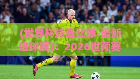 (世界杯球盘比球-最新进球赛)：2026世预赛关键战，盘口暗藏玄机？