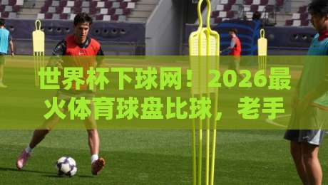 世界杯下球网！2026最火体育球盘比球，老手私藏的4个避坑点（新手必看）