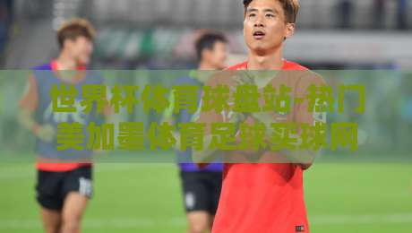 世界杯体育球盘站-热门美加墨体育足球买球网：2026年球迷必看的三大趋势与避坑指南