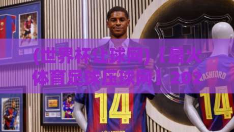 (世界杯让球网)【最火体育足球压球网】2026观赛必知：让球规则与压球技巧全解读