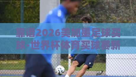 靠谱2026美加墨足球买球-世界杯体育买球赛新用户：新手必看的五大避坑指南