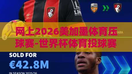 网上2026美加墨体育压球赛-世界杯体育投球赛导航【网上2026美加墨体育压球赛】？别踩坑，这份导航让你看球投球两不误