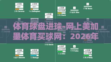 体育球盘进球-网上美加墨体育买球网：2026年美加墨世界杯投注新趋势解析