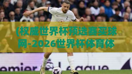 (权威世界杯预选赛买球网-2026世界杯体育体球大礼包)：老球迷的私藏攻略，看完别声张