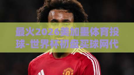 最火2026美加墨体育投球-世界杯初盘买球网代理！大佬揭秘玩法套路（最火2026美加墨体育投球）