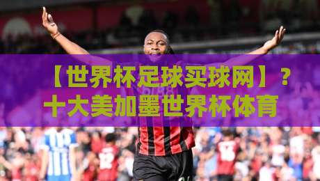 【世界杯足球买球网】？十大美加墨世界杯体育足球网，2026观赛指南来了！