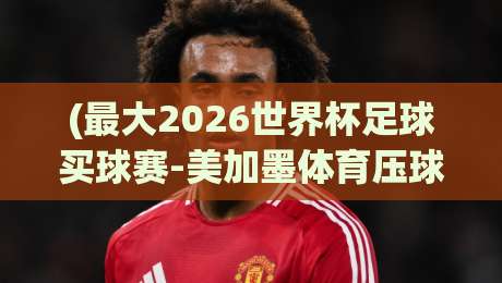 (最大2026世界杯足球买球赛-美加墨体育压球网直播)？这些观赛与投注技巧你必须知道！