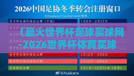 （最火世界杯足球买球网-2026世界杯体育买球站地址）怎么选？老球迷的掏心窝子经验