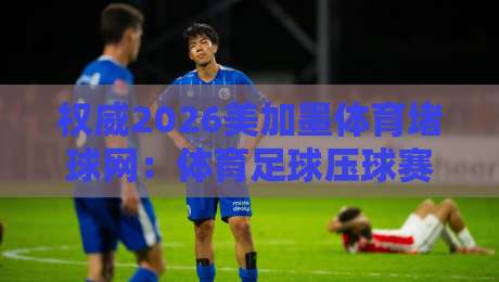 权威2026美加墨体育堵球网：体育足球压球赛技巧，你真的懂吗？