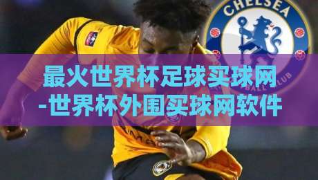 最火世界杯足球买球网-世界杯外围买球网软件：2026年球迷必看的避坑指南与实测推荐！