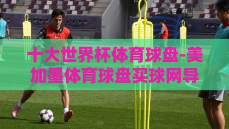 十大世界杯体育球盘-美加墨体育球盘买球网导航：2026年必藏攻略