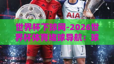 世界杯下球网-2026世界杯体育堵球导航：球迷必备的观赛与投注指南