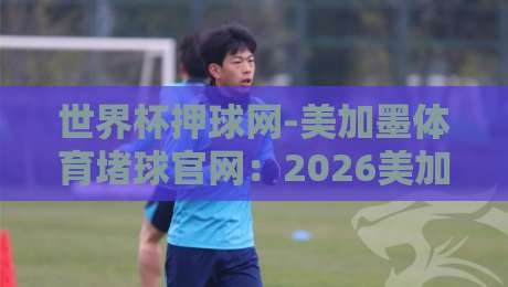 世界杯押球网-美加墨体育堵球官网：2026美加墨世界杯投注前的必修课