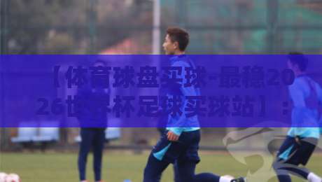 【体育球盘买球-最稳2026世界杯足球买球站】：2026年球迷必看的挑选指南