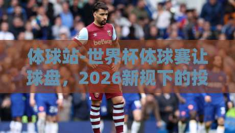 体球站-世界杯体球赛让球盘，2026新规下的投注策略与实战心得