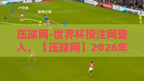 压球网-世界杯投注网登入，【压球网】2026年安全登入避坑指南与实用技巧