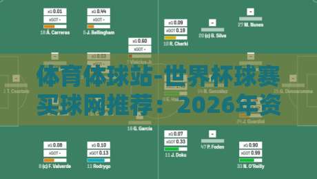 体育体球站-世界杯球赛买球网推荐：2026年资深玩家实测指南
