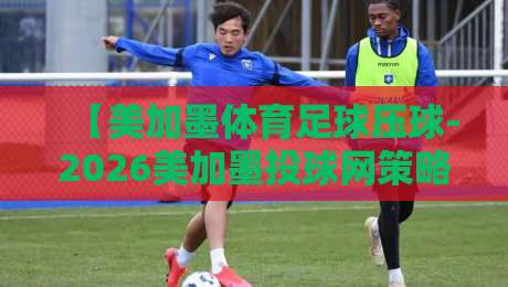 【美加墨体育足球压球-2026美加墨投球网策略】，2026世界杯投注新玩法与实操指南