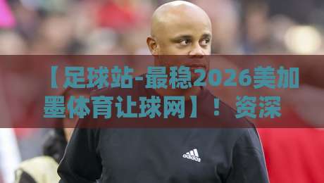 【足球站-最稳2026美加墨体育让球网】！资深球迷私藏指南：让球盘口这样玩才靠谱