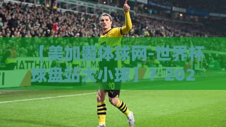 【美加墨体球网-世界杯球盘站大小球】？2026年世界杯盘口大小球实战攻略！(美加墨体球网-世界杯球盘站大小球)
