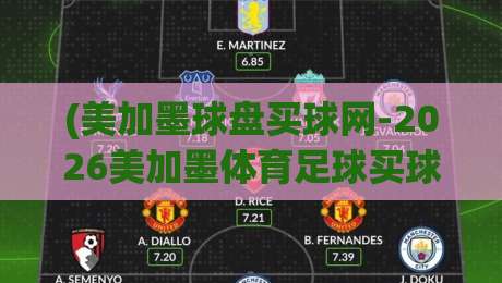 (美加墨球盘买球网-2026美加墨体育足球买球站网站)：2026年美加墨世界杯球迷的实用选站指南