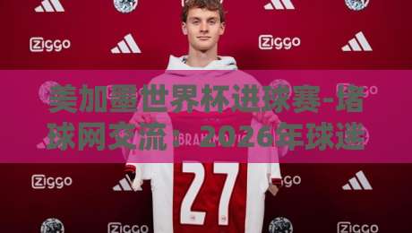 美加墨世界杯进球赛-堵球网交流：2026年球迷必看的交流秘籍