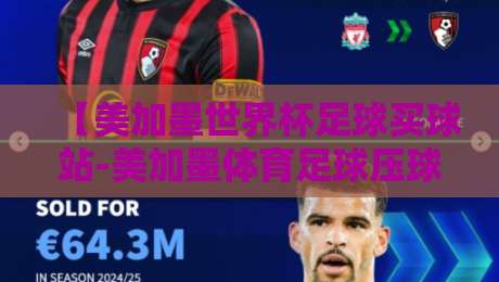 【美加墨世界杯足球买球站-美加墨体育足球压球站技巧】！2026年球迷必读的三大实战策略